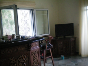 living room2