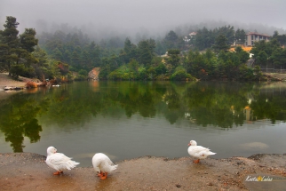 lake Beletsi in Ippokratio 5