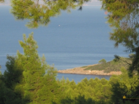 Chalkidiki paliouri-between-forest-and-sea