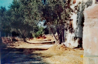 House at Chios
