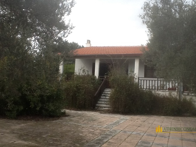 House with land in Draphi, Penteli, Attica
