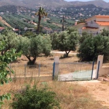 24.Garden view to olive grove and meadow