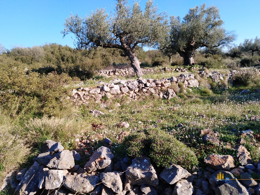 Land in Messinia, Peloponnese