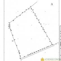 Topographic plan