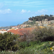 Land in Kyparissia 2