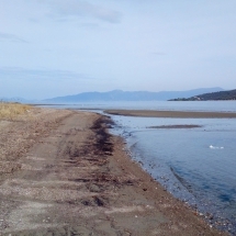 View of beach