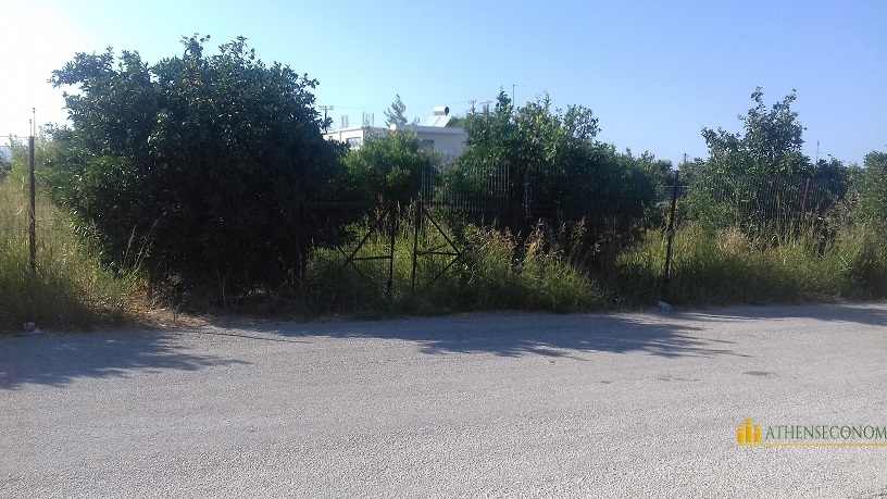 Land for sale in Corinthia, Peloponnese