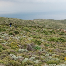 Land Andros island