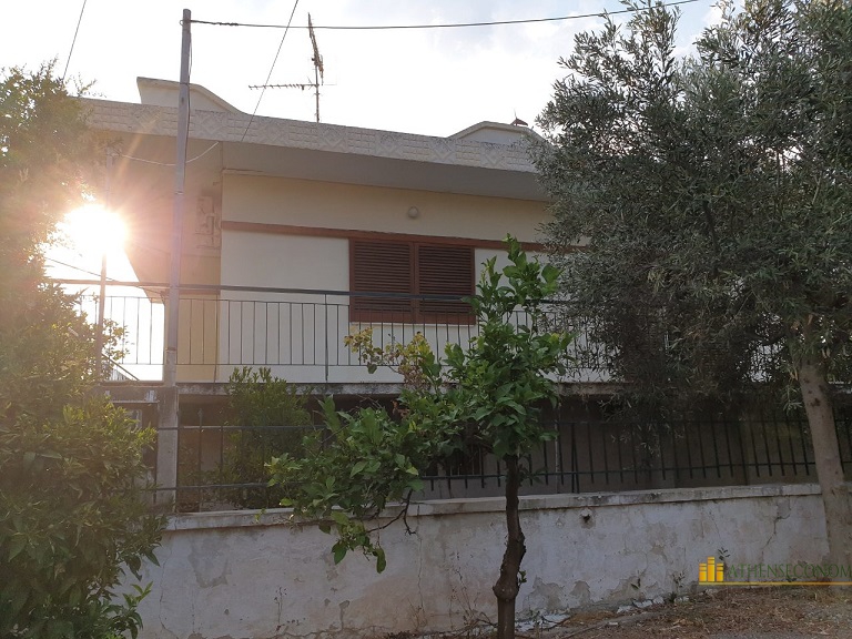 House in Alepochori, Attica
