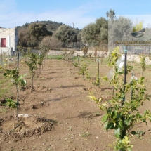 Land at Leros island (10)