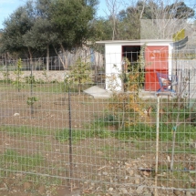 Land at Leros island (12)