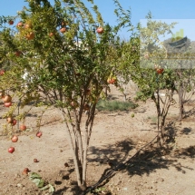 Land at Leros island (4)