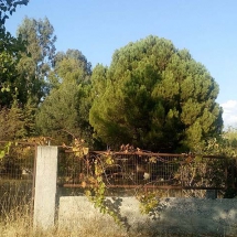 Land for sale at Plara Dilesi (1)