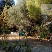 Land for sale at Plara Dilesi (5)