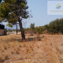 Land for sale on Porto Germeno(2)