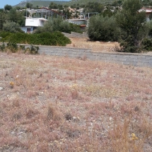 Land for sale on Porto Germeno(5)