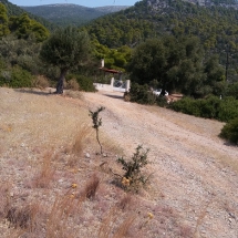 Land for sale on Porto Germeno(8)