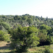 Land in Kymi, Evia (3)