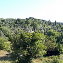 Land in Kymi, Evia (4)