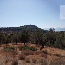 Land at Eretria, Evia 20.000 sq.m (1)