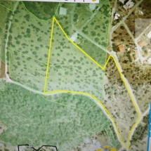 Land at Eretria, Evia 20.000 sq.m (13)