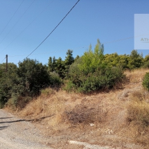 Land at Eretria, Evia 20.000 sq.m (16)