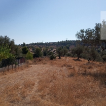 Land at Eretria, Evia 20.000 sq.m (17)