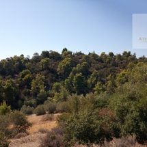 Land at Eretria, Evia 20.000 sq.m (19)