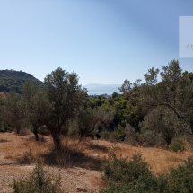 Land at Eretria, Evia 20.000 sq.m (2)