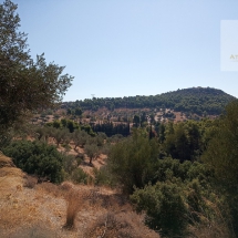 Land at Eretria, Evia 20.000 sq.m (21)