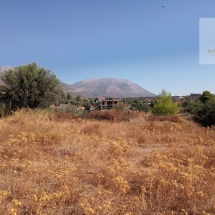 Land at Eretria, Evia 20.000 sq.m (22)