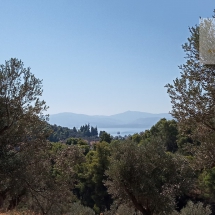 Land at Eretria, Evia 20.000 sq.m (23)