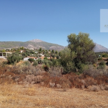 Land at Eretria, Evia 20.000 sq.m (25)