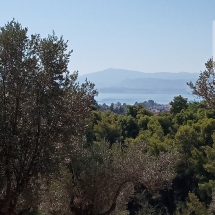 Land at Eretria, Evia 20.000 sq.m (3)