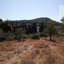 Land at Eretria, Evia 20.000 sq.m (5)