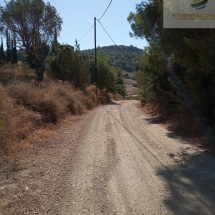 Land at Eretria, Evia 20.000 sq.m (8)