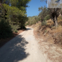 Land at Eretria, Evia 20.000 sq.m (9)