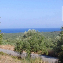 Land at Messinia for sale (1)