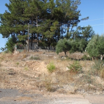 Land at Messinia for sale (2)