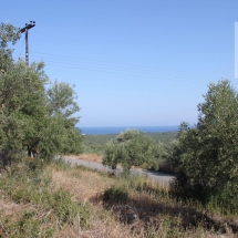 Land at Messinia for sale (3)