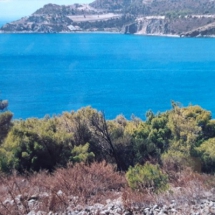 Land at Aegina for sale (1)