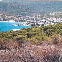 Land at Aegina for sale (2)