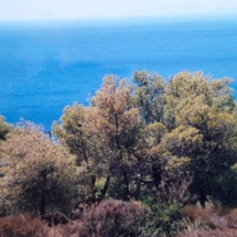 Land at Aegina for sale (5)