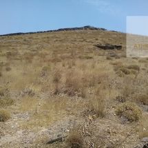 Land at Kythnos for sale (9)