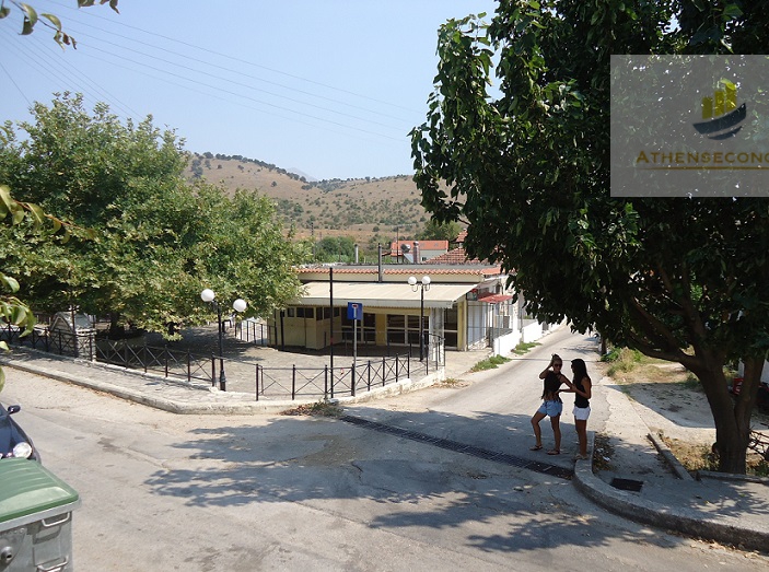 House in Filippiada,Epirus