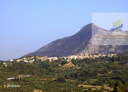 Land at Vrina, West Peloponnese