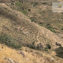 Land at Serifos (1)