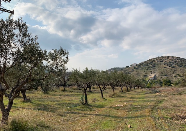 Land for sale in Lagonisi, Attica