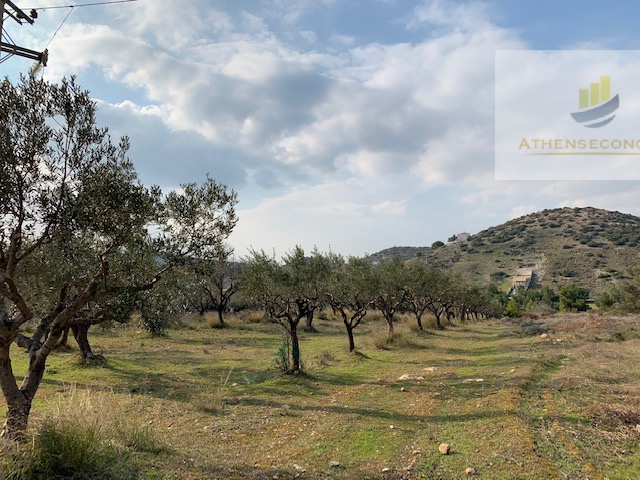 Land for sale in Lagonisi, Attica