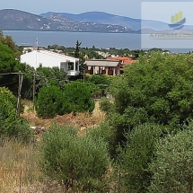 Land in Nea Makri (1)